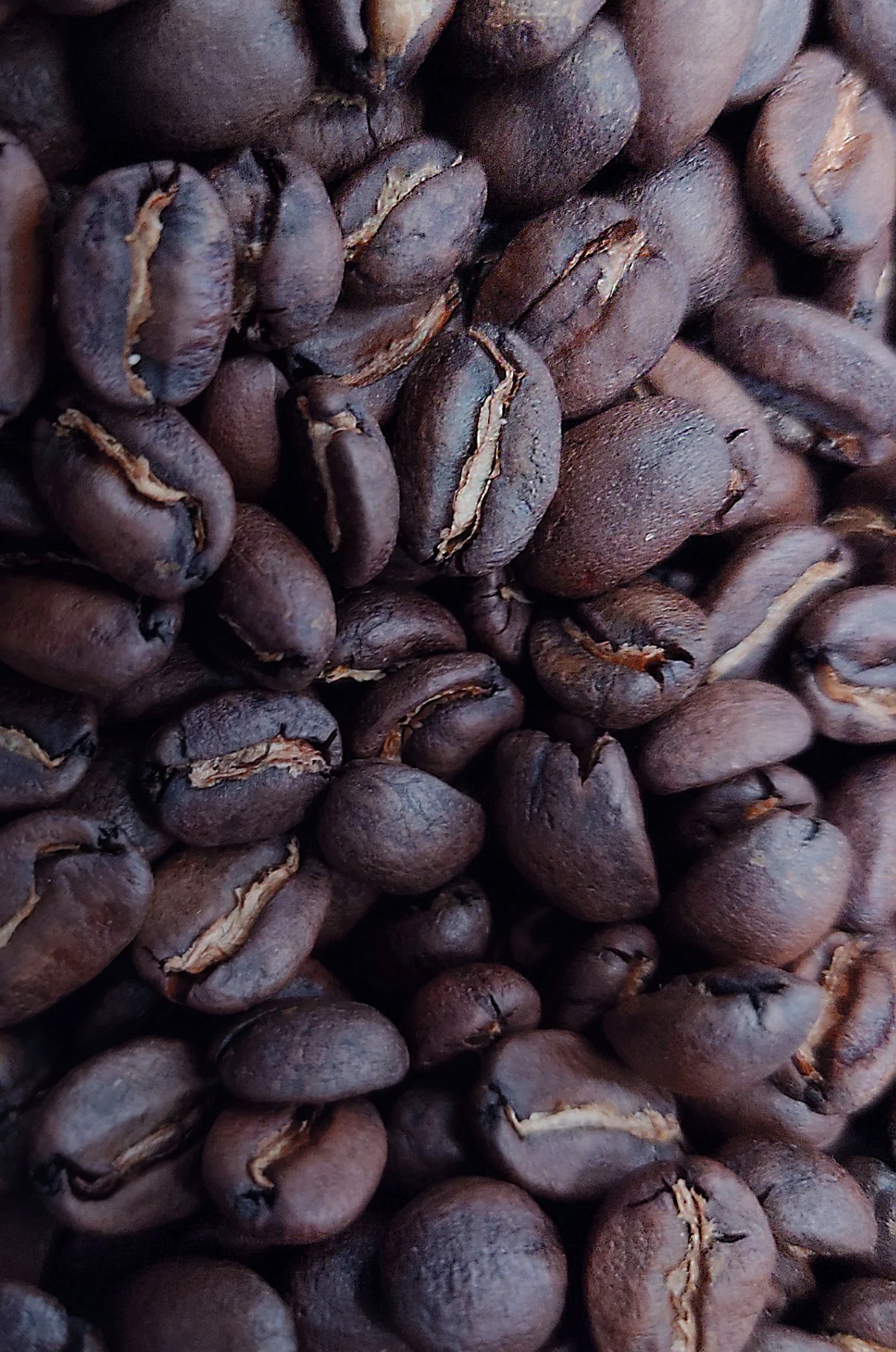 Café Tostado de Origen Veracruz.