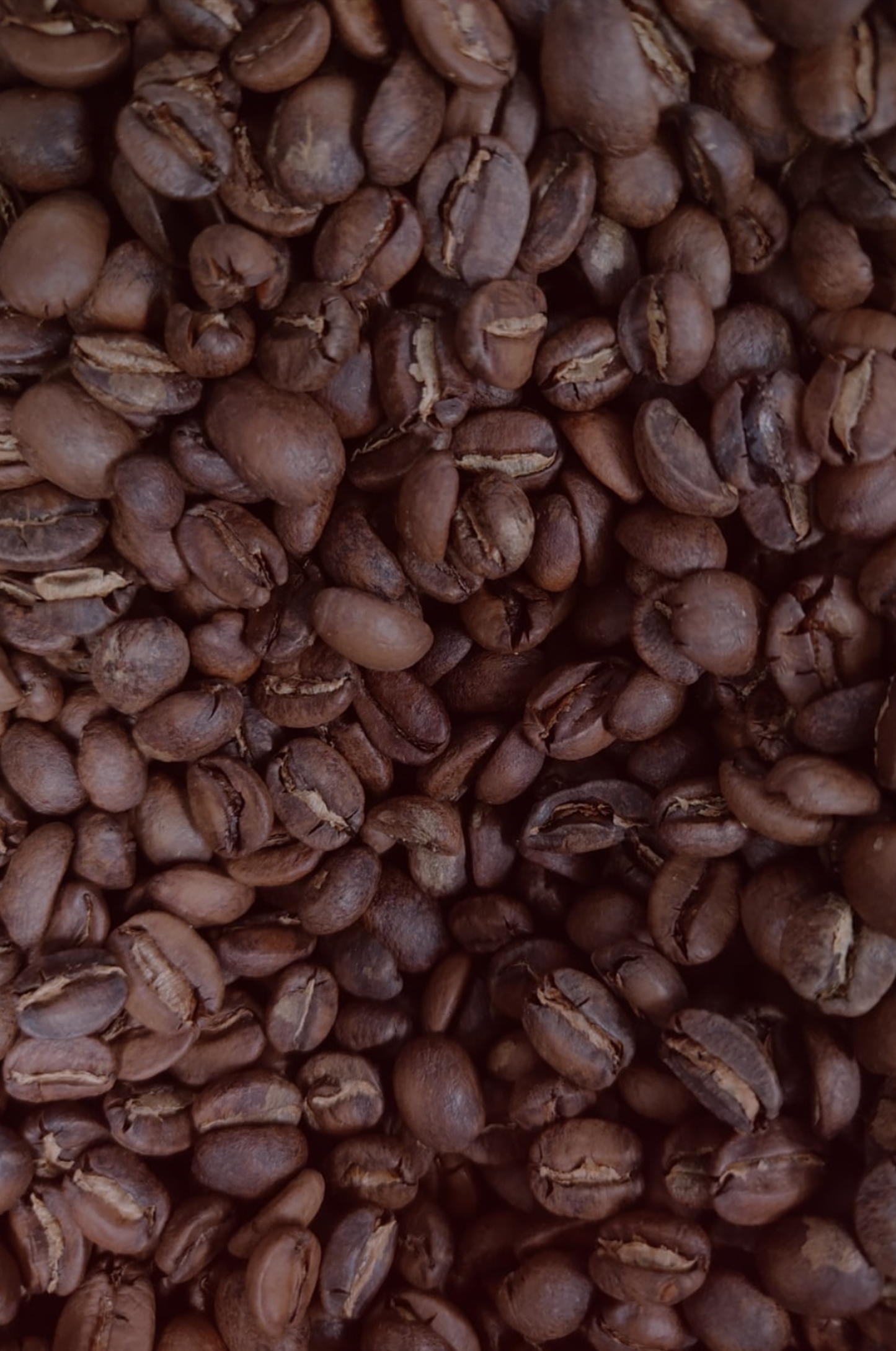 Café Tostado Red Flame Blend Mezcla