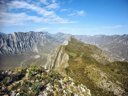 Los Secretos del Café de Altura en la Sierra Madre